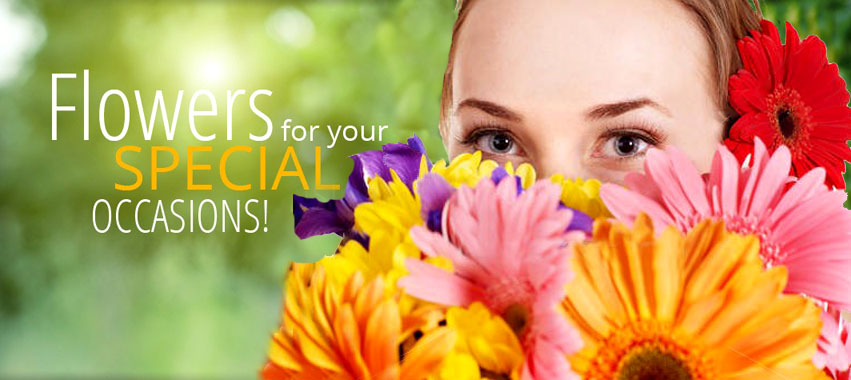 Australia Best seller flowers